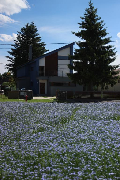 Apartmán Modry Dom Spišské Bystré Exteriér fotografie